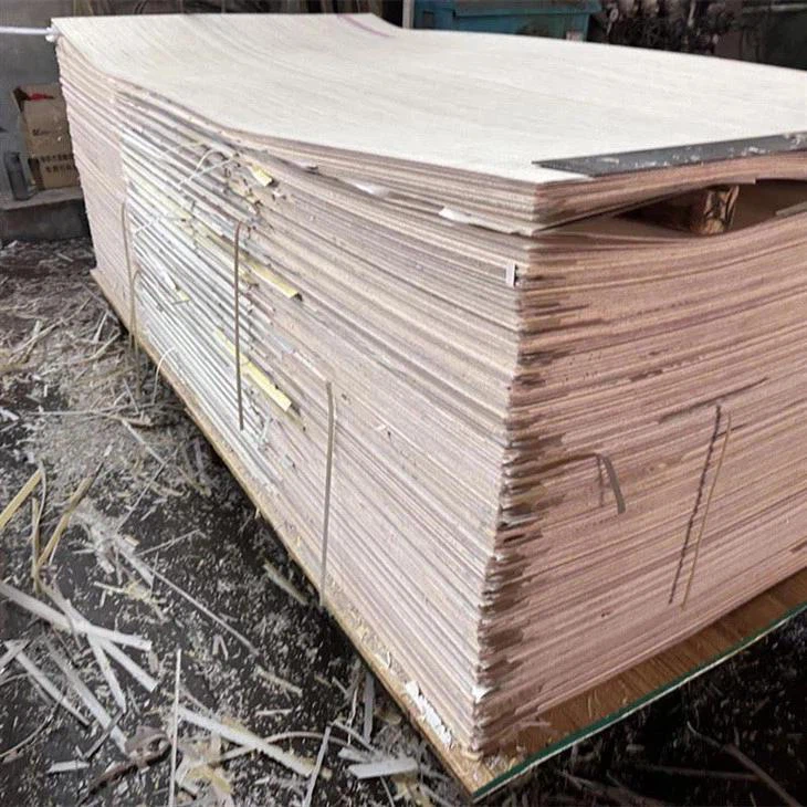 الجملة المهندسة القشرة ريكون القشرة الخشب الرقائقي للأثاث